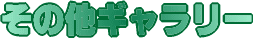 ̑M[