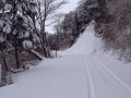 長く続く雪道