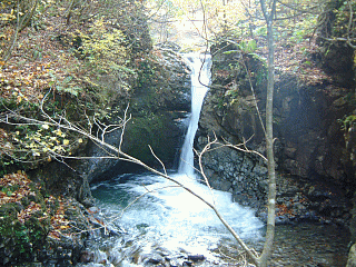 �Ճm����ʐ^1