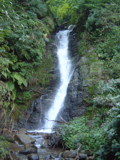 �s����ʐ^1