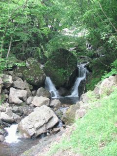 �铐�l��ʐ^1