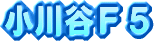 ����J�e�T