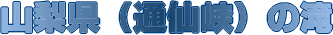 �ʐ勬�̑�