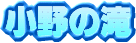 ����̑�