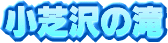���ő�̑�