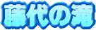 ����̑�